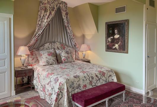 chateaux for sale France pays de loire   - 19
